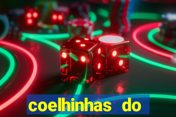 coelhinhas do brasil recife